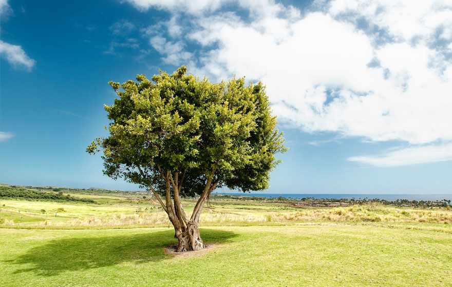 5001拉斯维加斯(中国游)有限公司-BinG百科